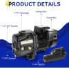imageAcquaer 12HP ShallowDeep Well Jet Pump Cast Iron Convertible Pump with Ejector Kit Well Depth Up to 25ft or 90ft 115V230V Dual Voltage Automatic Pressure Switch34HP