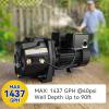 imageAcquaer 12HP ShallowDeep Well Jet Pump Cast Iron Convertible Pump with Ejector Kit Well Depth Up to 25ft or 90ft 115V230V Dual Voltage Automatic Pressure Switch34HP