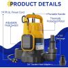 imageAcquaer 12HP Submersible Utility Pump 3030GPH Stainless Steel Sump Pump Water Removal for Basement Hot Tub Pool Cover Draining 30ft Cord12HP 2906GPH Float Switch